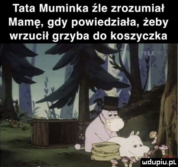 tata muminka źle zrozumiał mamę gdy powiedziała żeby wrzucił grzyba do koszyczka vum