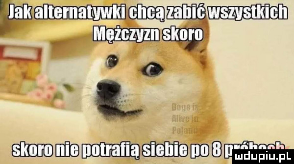 weeks awwki calca mmm mężczyzn skora r r l s  . mma. abakankami magma