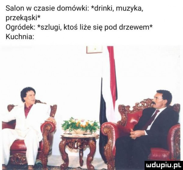 salon w czasie domówki drinki muzyka przekąski ogródek szlugi ktoś liże się pod drzewem kuchnia