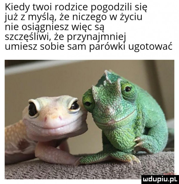 kiedy twoi rodzice pogodzili się już z myślą że niczego w życiu nie osiągniesz więc są szczęśliwi że przynajmniej umiesz sobie sam parówki ugotować