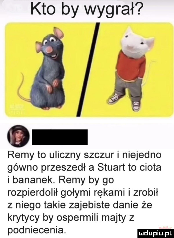 kto by wygrał   a remy to uliczny szczur i niejedno gówno przeszedł a stuart to ciota i bananek. remy by go rozpierdolił gołymi rękami i zrobił z niego takie zajebiste danie że krytycy by ospermili majty z podniecenia