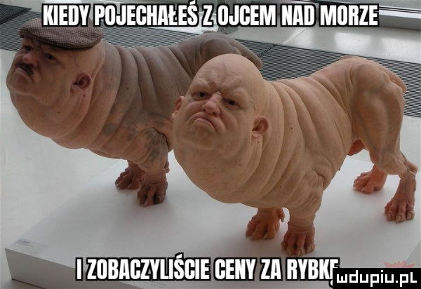 kieilyle ęejiaeeś z bucem www i zobaglyijśgie geiiy za ﬂybkfmdupiupl