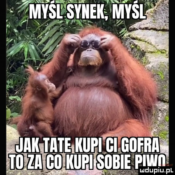 w v i yiiekl my i   j cox. l. gi jak tee kupiżeeauenn g.   m samum