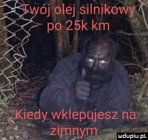 wij ole silnikowy i po   k km ą