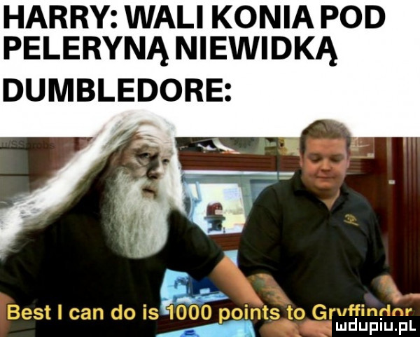 harry wali konia pod peleryną niewidką dumbledore