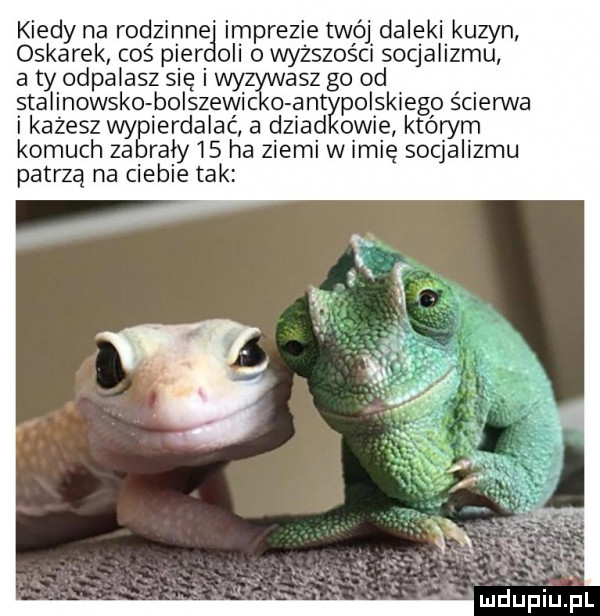 kiedy na rodzinne imprezie twój daleki kuzyn oskarek coś puer oli o wyższości socjalizmu aty odpalasz się i wyzywasz go od stalinowsko bolszewic o ant polskiego ścierwa i każesz wypierdalac a dziad obie którym komuch zabrały    ha ziemi w imie socjalizmu patrzą na ciebie tak