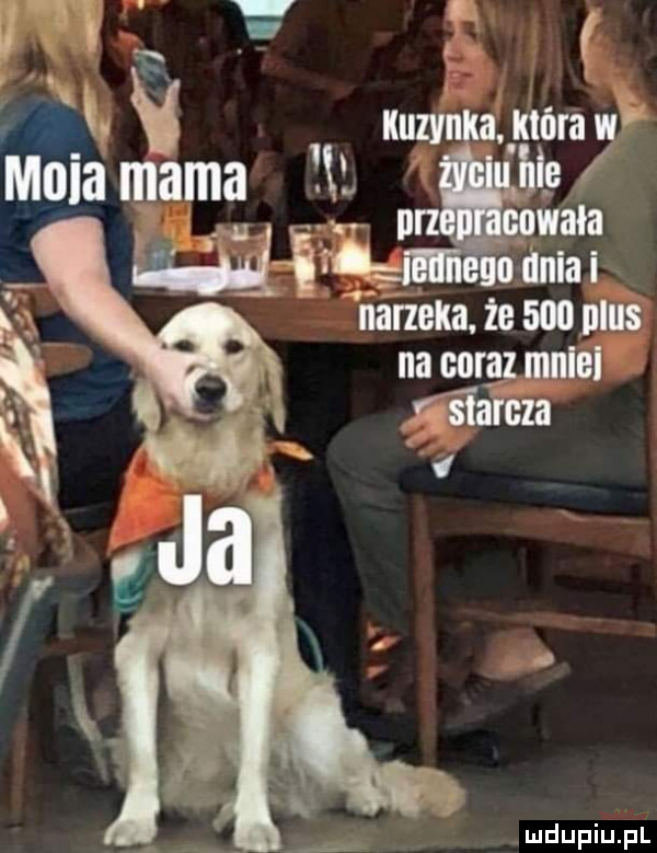 w w v lu f w f i mia mama xl l m wim.      odma iizirzela że     plus na corel mnlal