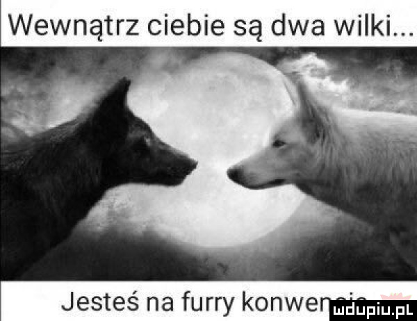 wewnątrz ciebie są dwa wilki. jesteś na furry konie mmm