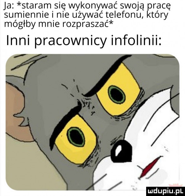 ja staram się wykonyyvać swoją racę sumiennie i nie uzywac telefonu tory mógłby mnie rozpraszac inni pracownicy infolinii