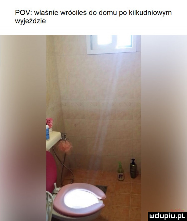 pcv właśnie wróciłeś do domu po kilkudniowym wyjeździe