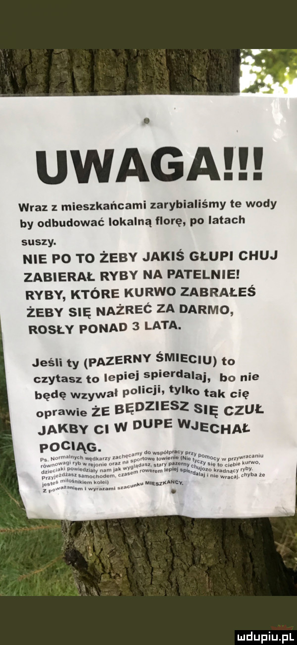 uwaga wraz z mieszkańcami zarybialiśmy te wody by odbudować lokalną florę po latach suszy. nie po to żeby jakiś głupi chuj zabierał ryby na patelnie ryby które kurwo zabrałeś żeby się nażreć za darmo rosly ponad   lata. jeśli ty pazerny śmieciu to czytasz to lepie spierdalaj bo nie będę wzywa policji tylko tak cię oprawie że będziesz się czuł jakby cn w dupe wjeanł