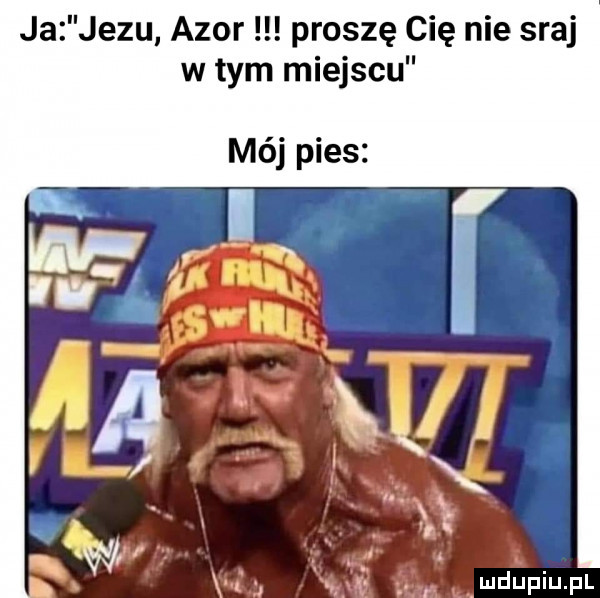 ja jezu azor proszę cie nie sraj w tym miejscu