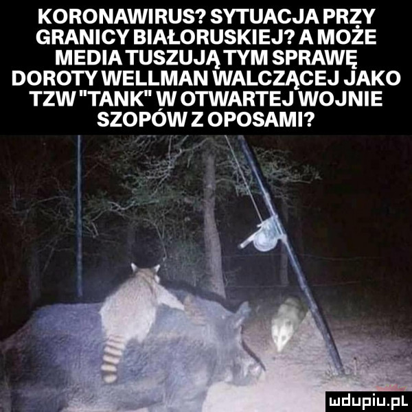 koronawirus sytuacja prz y granicy białoruskiej a moze media tuszują tym sprawę doroty wellman walczącej jako tlw tank w otwartej wojnie szopow z oposami