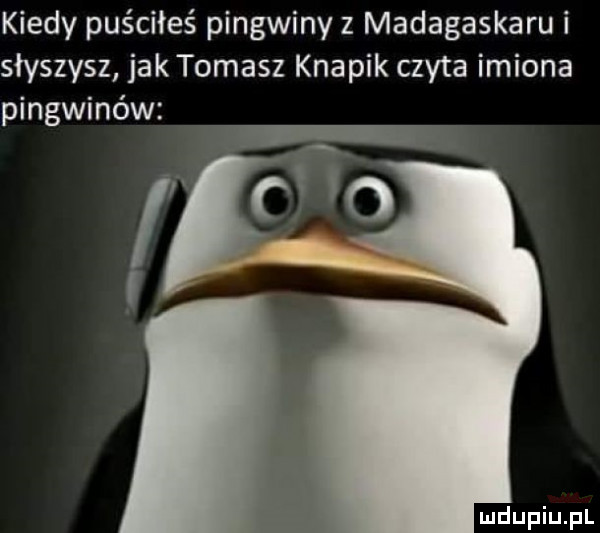 kiedy puściłeś pingwiny z madagaskaru i słyszysz jak tomasz knapik czyta imiona pingwinów