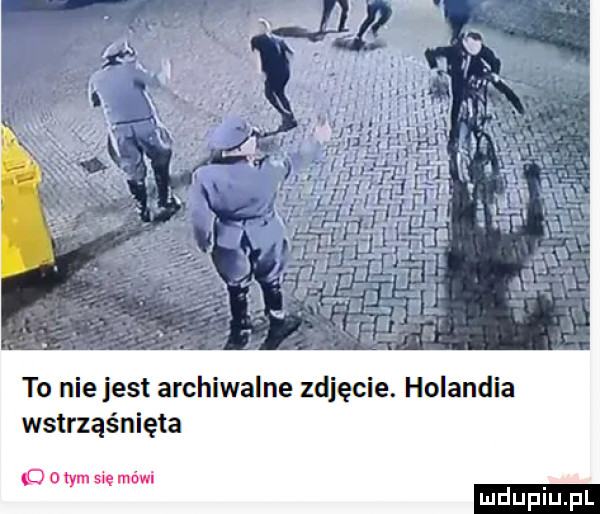 to nie jest archiwalne zdjęcie. holandia wstrząśnięta