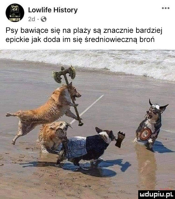 lowlife histony  d e psy bawiące się na plaży są znacznie bardziej epickie jak doda im się średniowieczną broń