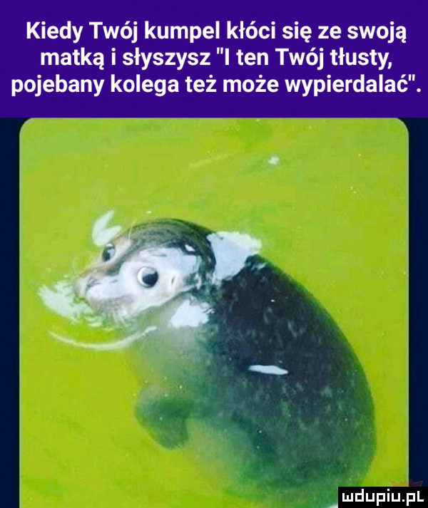 Obrazek