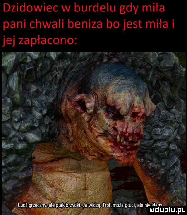 dzikowiec w burdelu gdy miła pani chwali benita bo jest miła i jej zapłacono