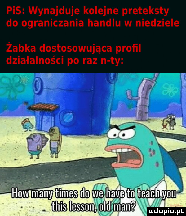 pis wynajduje kolejne preteksty do ograniczania handlu w niedziele żabka dostosowująca profil działalności po raz n ty