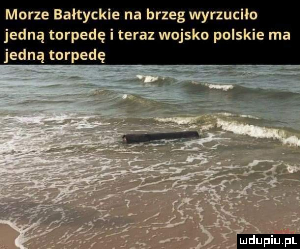 morze bałtyckie na brzeg wyrzuciło jedną torpedę i teraz wojsko polskie ma jedną torpedę ludu iu. l