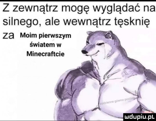 z zewnątrz mogę wyglądać na silnego ale wewnątrz tęsknię za moim pierwszym światem w minecraflcie