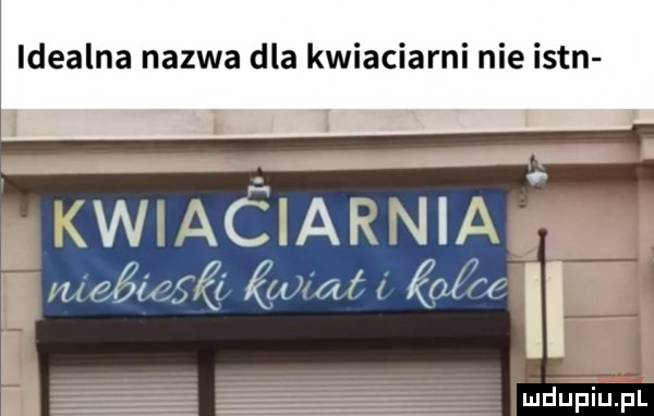 idealna nazwa dla kwiaciarni nie isbn l l t l waójami ś jus łęgu ać a ii