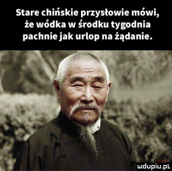 stare chińskie przysłowie mówi że wódka w środku tygodnia pachnie jak urlop na żądanie. abakankami l