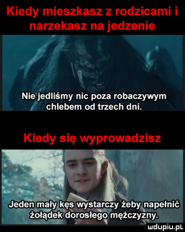 kiedy mieszkasz z rodzicami i narzekasz na jedzenie nie jedliśmy nic poza robaczywym chlebem od trzech dni. kiedy się wyprowadzisz jeden mały. kaś iwystąr czy. żeby napełnić żołądek do rosiego mężczyzny. va u łu iu. pl