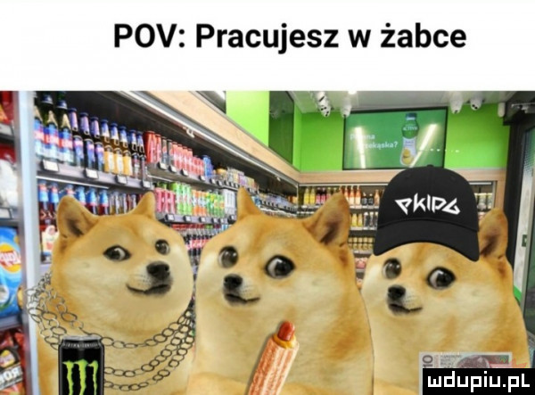 pcv pracujesz w żabce