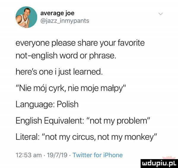 average joe lazzjnmypants everyone please stare your favorite not english word or phrase. here s one i just learned. nie mój cyrk nie moje małpy language polish english equivalent not my problem literal not my cirrus not my monkey       am         twitter for iphone