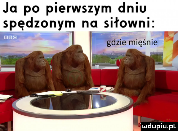 ja po pierwszym dniu spędzonym na siłowni. g gdzie mięśnie