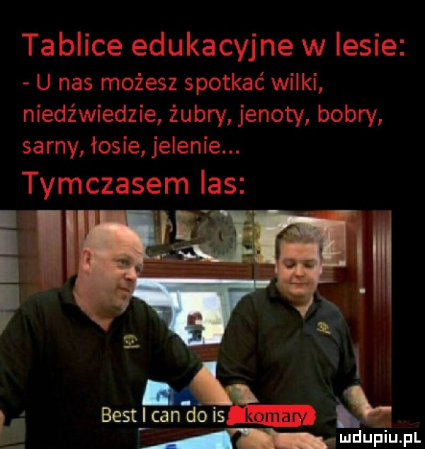 tablice edukacyjne w lesie u nas możesz spotkać wiaki niedźwiedzie żubry jenoty bobry sarny łosie jelenie. tymczasem las i i   th i    awduniu pl