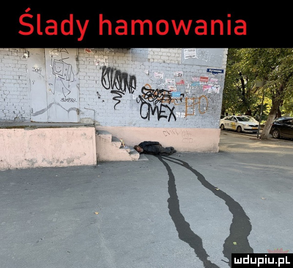 ślady hamowania