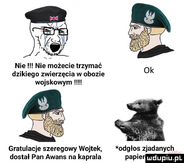 nie nie mozecie trzymać dzikiego zwierzęcia w obozie wojskowym gratulacje szeregowy wojtek odgłos zjadanych dostał pan awans na kaprala papie