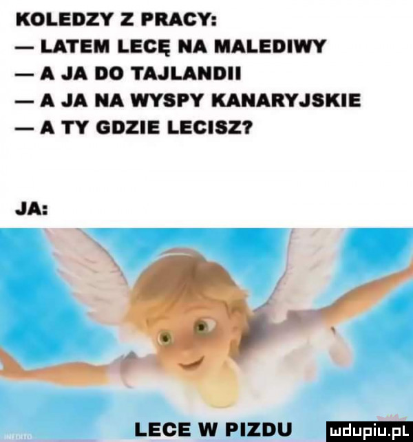 koledzy z pracy latem lecę na malediwy a ja no tajlandii a ja na wyspy kanaryjskie a i y gdzie lecisz lege w pizdu