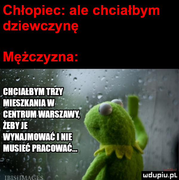 chłopiec ale chciałbym dziewczynę mężczyzna tal y su slii v ieime x g i n i i iiiiisiei mą w