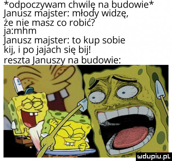 odpoczywam chwil na budowie janusz majster meo y widzę że nie masz co robić ja mhm janusz majster to kup sobie kij i porajach się bij resztajanuszy na budowie fxllf