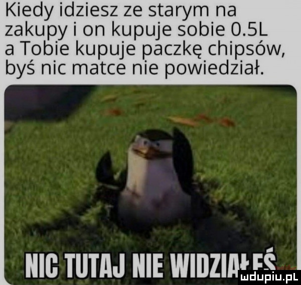 kiedy idziesz ze starym na zakupy i on kupuje sobie    l a tobie kupuje paczkę chipsów byś nic matce nie powiedział. iiig tutaj nie wiiizimłśwl