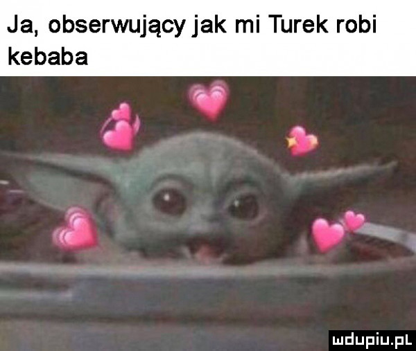 ja obserwującyjak mi turek robi kebaba a. a w