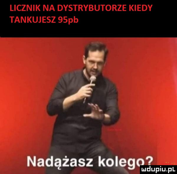 nadążasz kolego ludupiu. pl