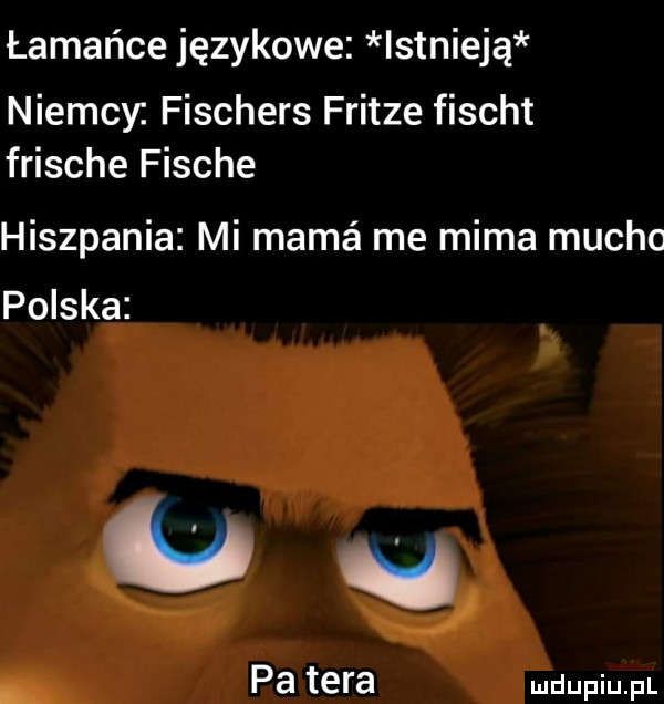 łamańce językowe istnieją niemcy fischers fritze fischt frische finche hiszpania mi mamé me mima mucho polska pa tera
