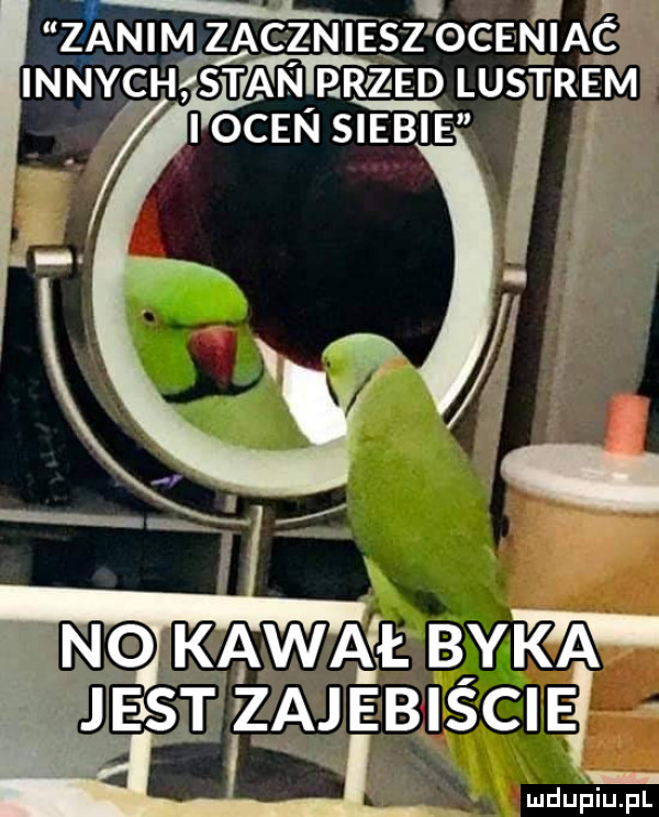 zianim zaczniesz ogenżiac innych tan przed lustrem i ocen siebie no kawafł byka jejstłzajebiscie ludupiu. pl