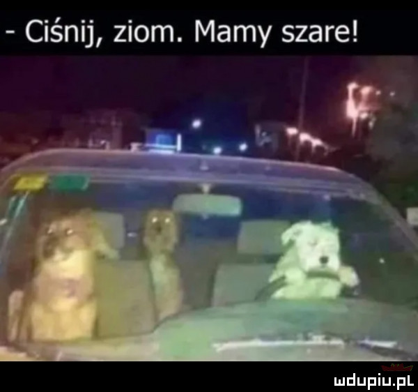 ciśnij ziom. mamy szare