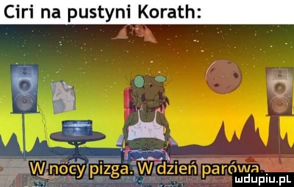 cini na pustyni korach d mﬁﬁpiupl