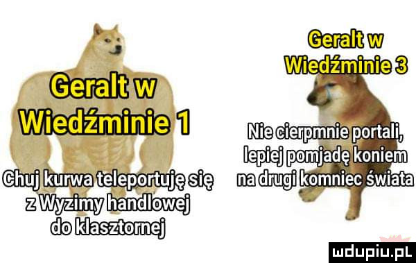 zwm mam