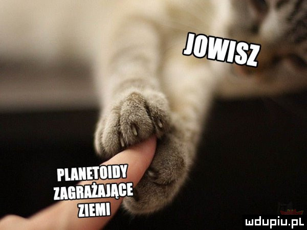 Obrazek
