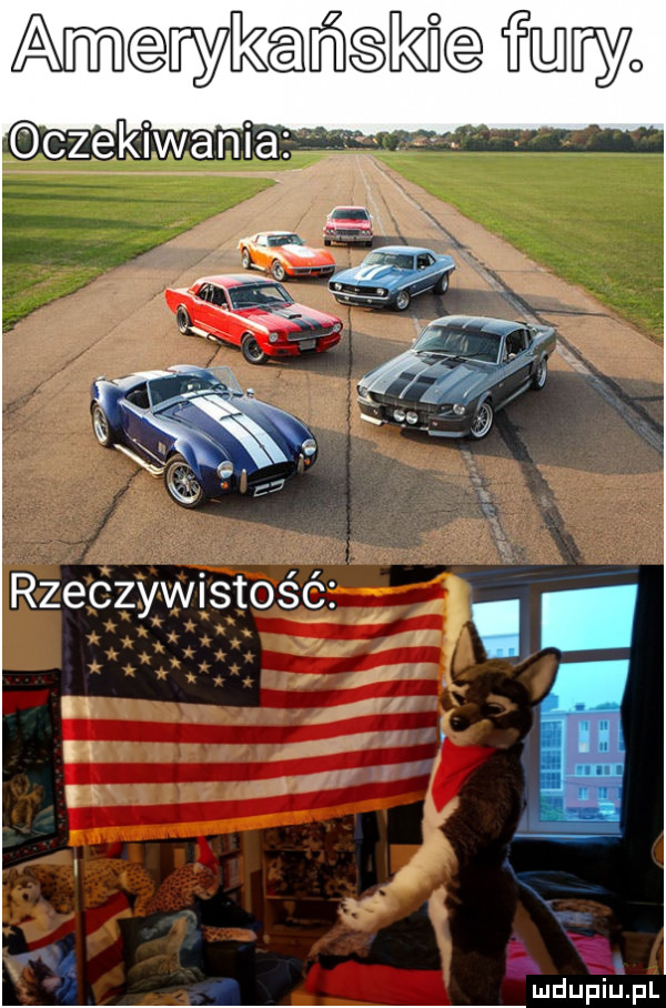 czekiwania amcawkańskjca my   rzeczywistość