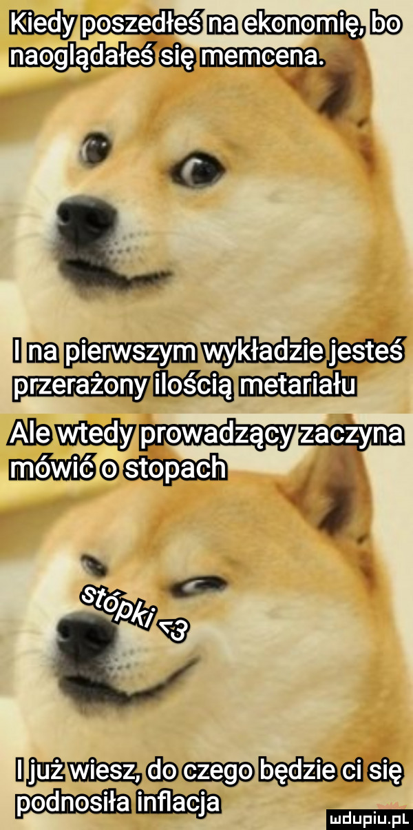 wm naoglądałeś     f     l i eeg wykładzieggaś mmm magm nim hmmm gleb w duciu pl