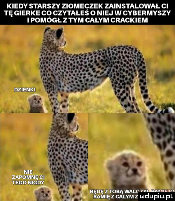 kiedy starszy ziomeczek zainstalowal ci tę gierke co czytałeś o niej w cybermyszy i pomógł z tyilcalym crackiem dzionki nie. zapomnę cl tego mcnv będęztobąwalc v usa. ramięzcalvmz lﬂdijfiij fl