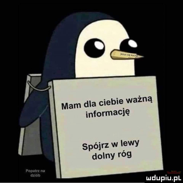 mam dla ciebie ważną informację i spójrz w lewy dolny róg imdupiupl